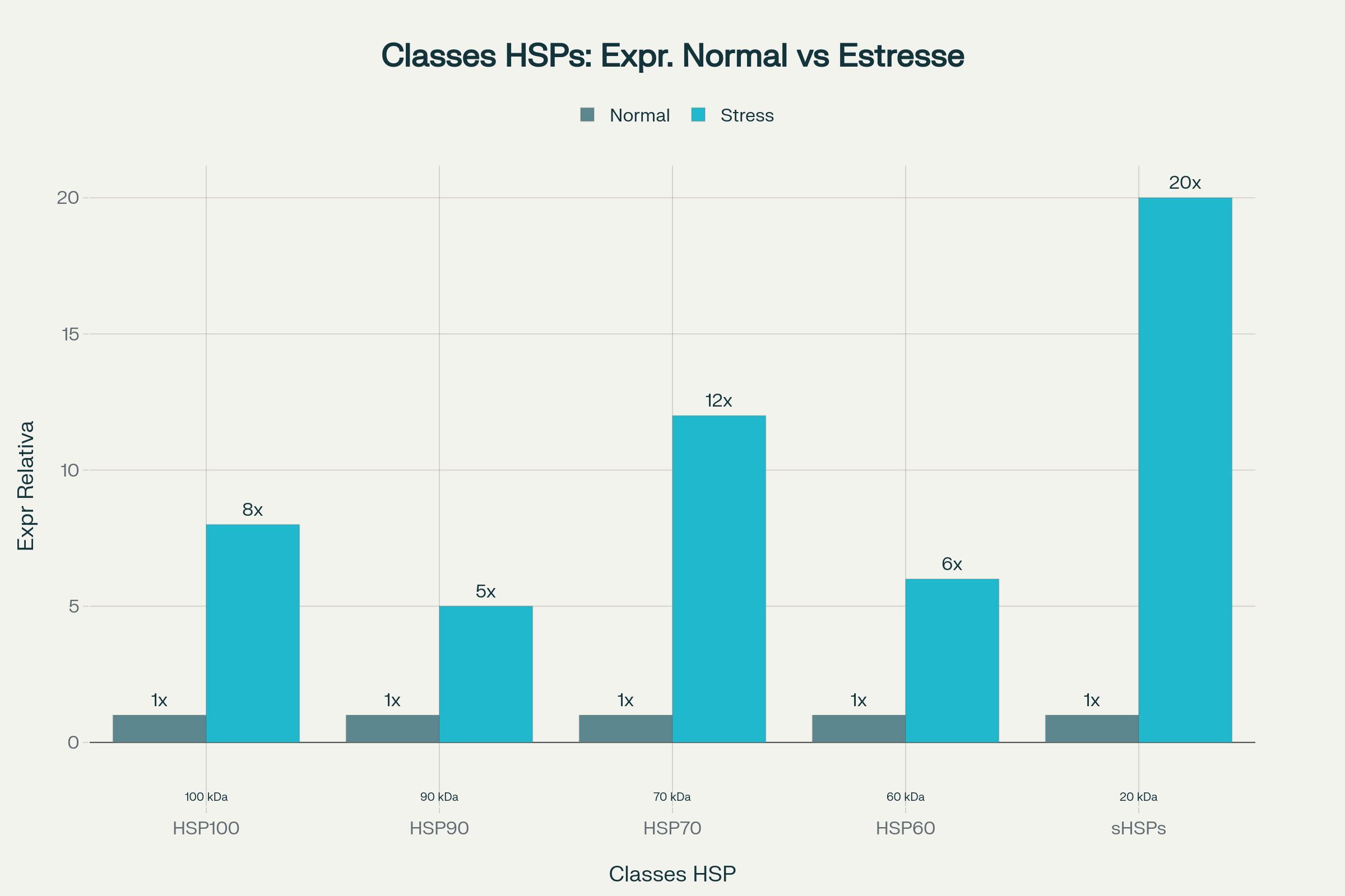 Termorregulação : Classes de Proteínas de Choque Térmico (HSPs) em plantas e suas funções moleculares específicas
