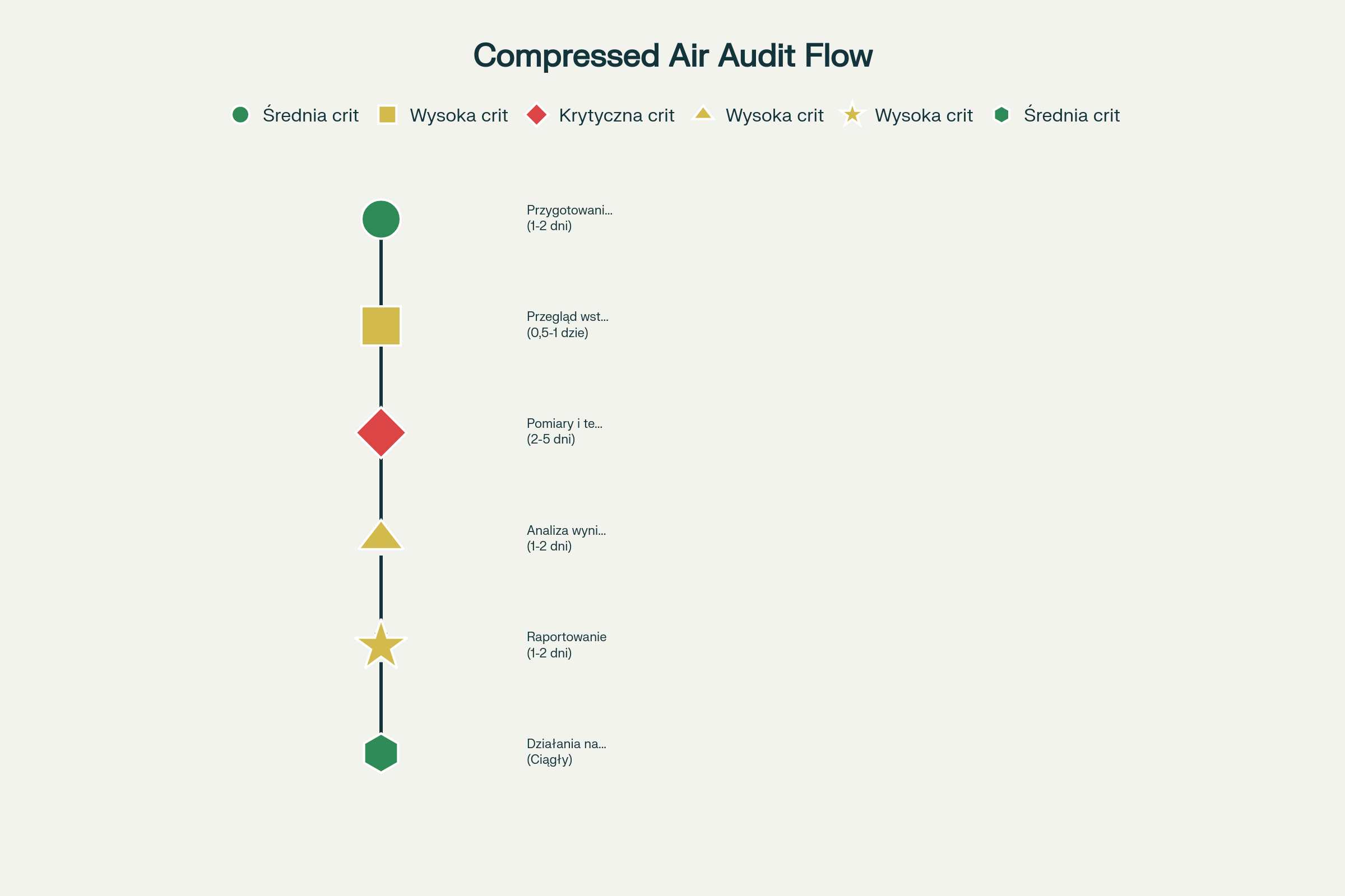Procedura audytu systemu sprężonego powietrza - diagram przepływu procesu