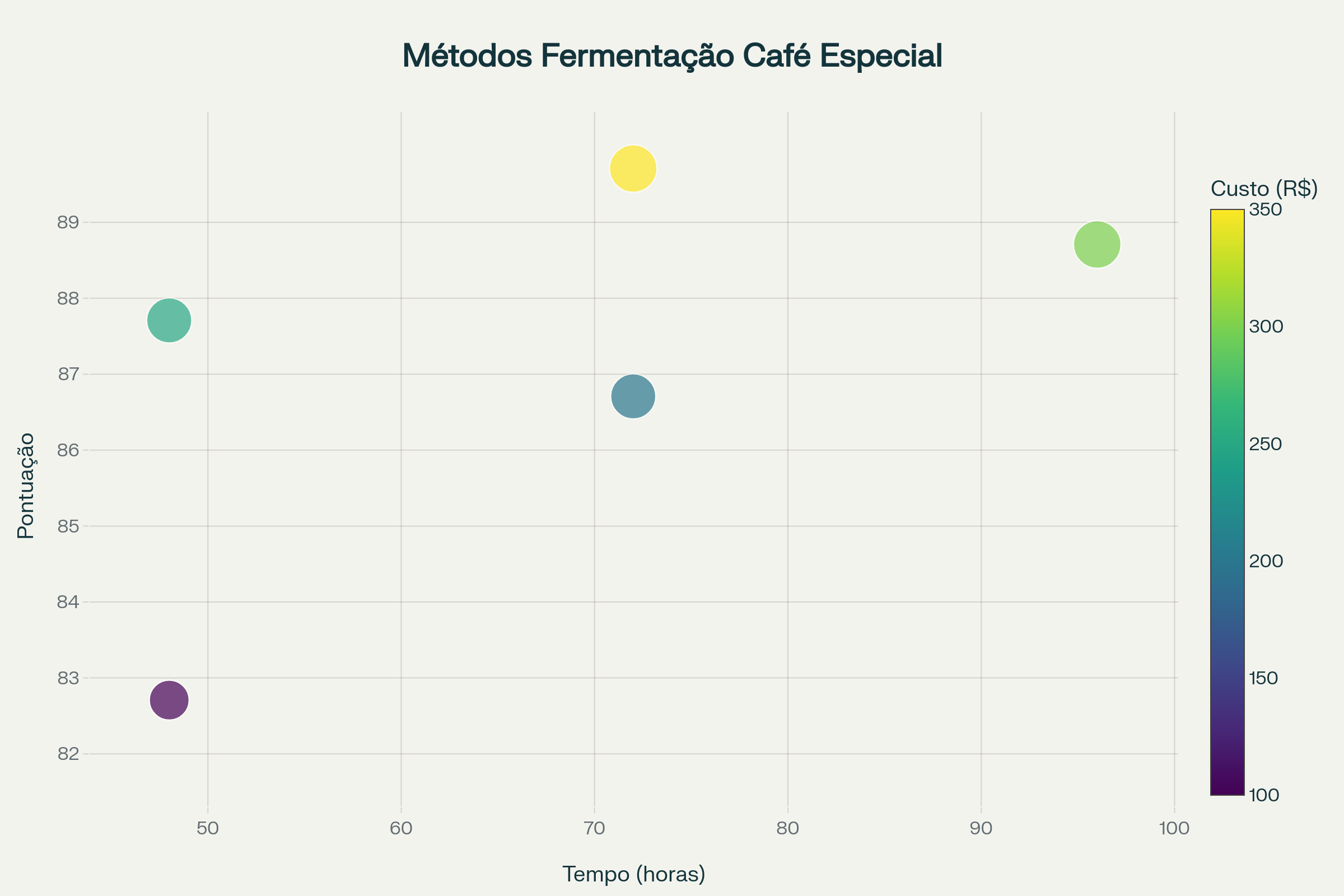 484d52f9 Métodos de Fermentação no Café Especial: A Revolução dos Sabores Únicos