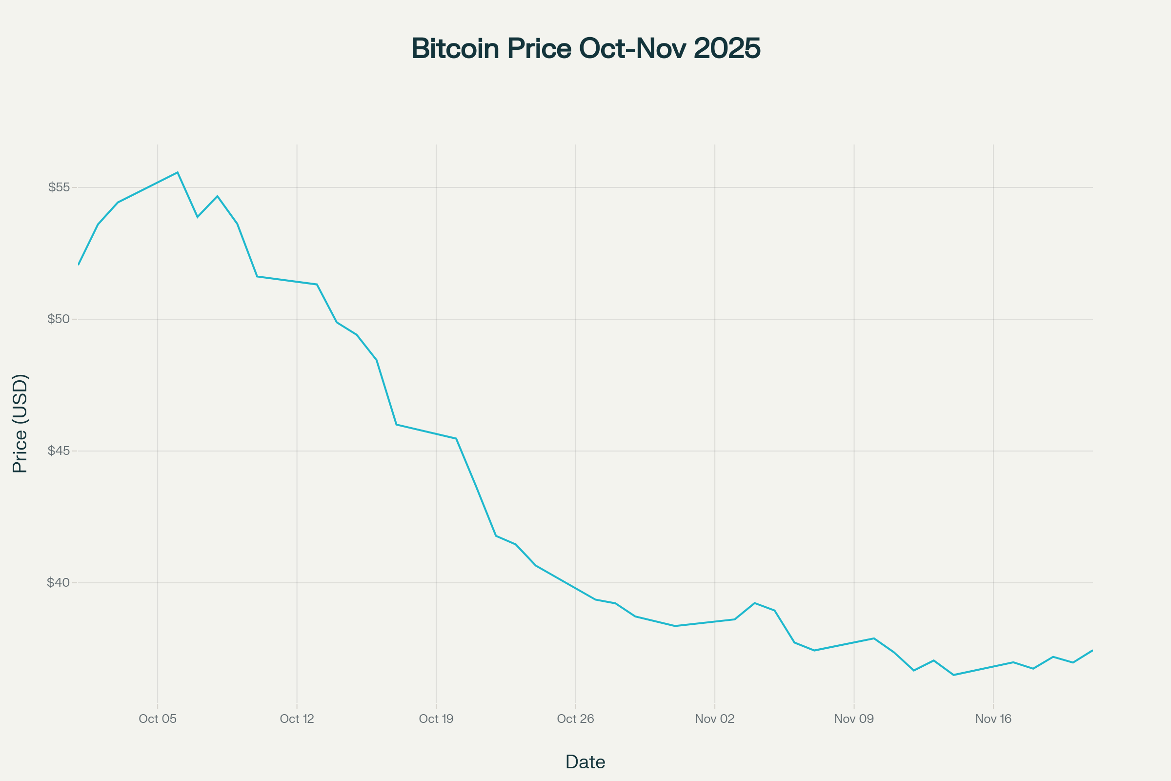 Bitcoin Price Decline from October to November 2025
