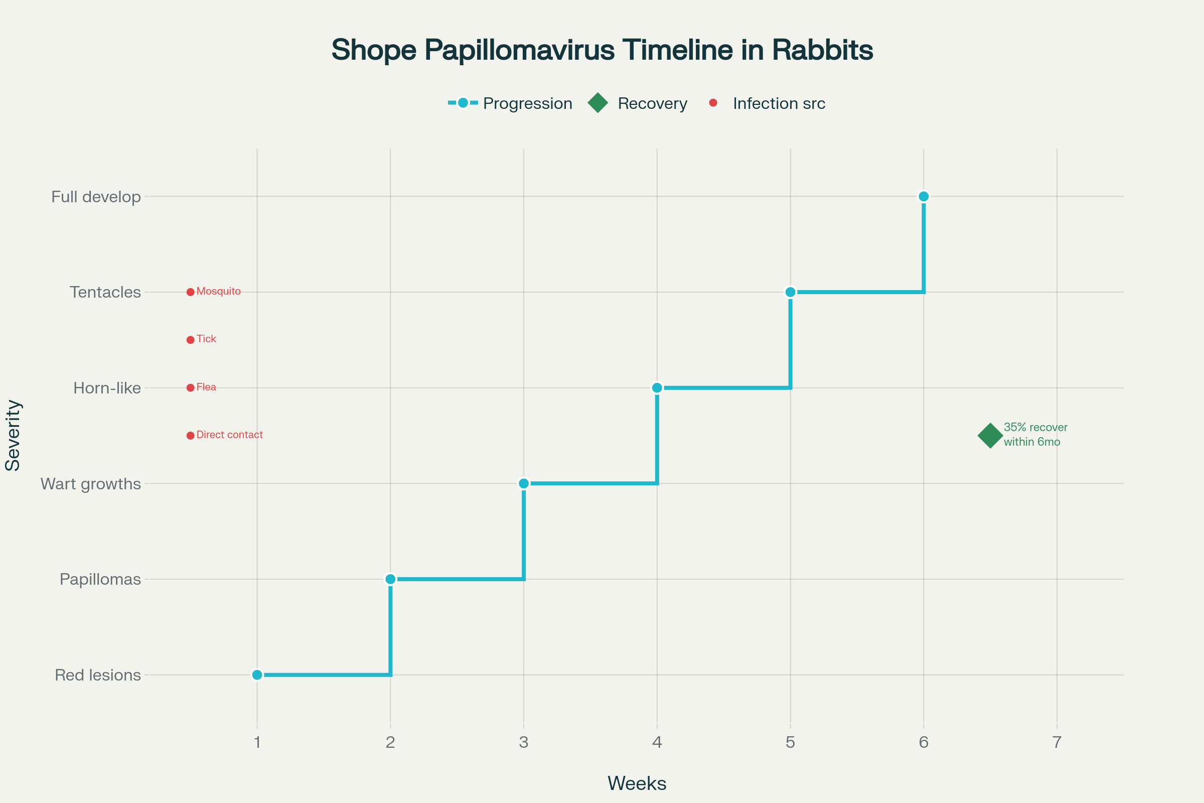 Shope Papillomavirus Infection Cycle and Timeline in Colorado Rabbits