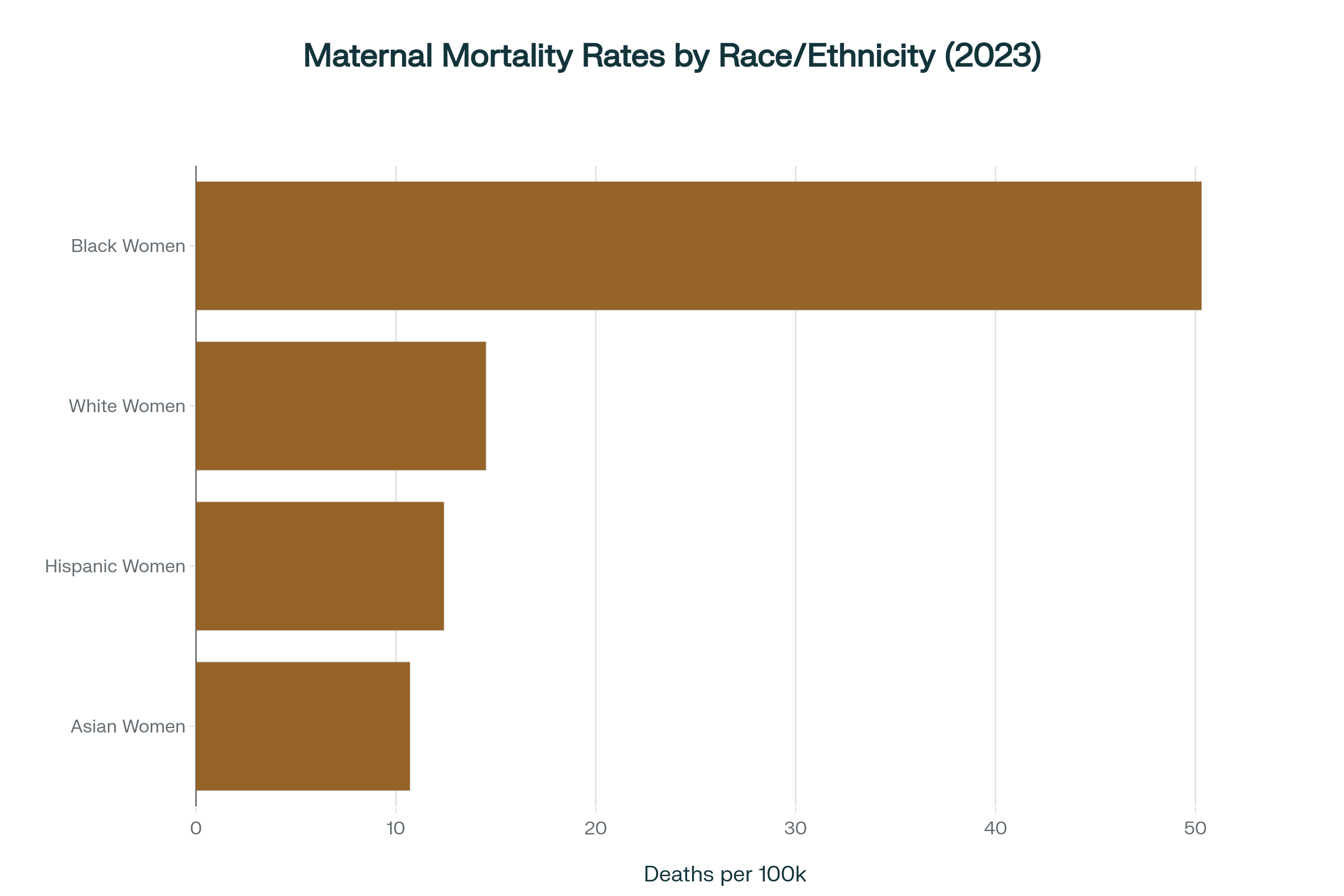 Bar chart showing maternal mortality disparities highlighting Black women's higher mortality rates