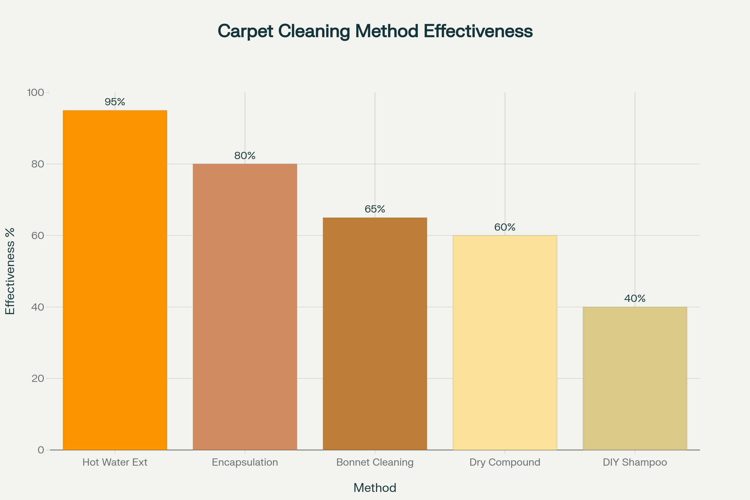 Professional carpet cleaning methods effectiveness comparison chart