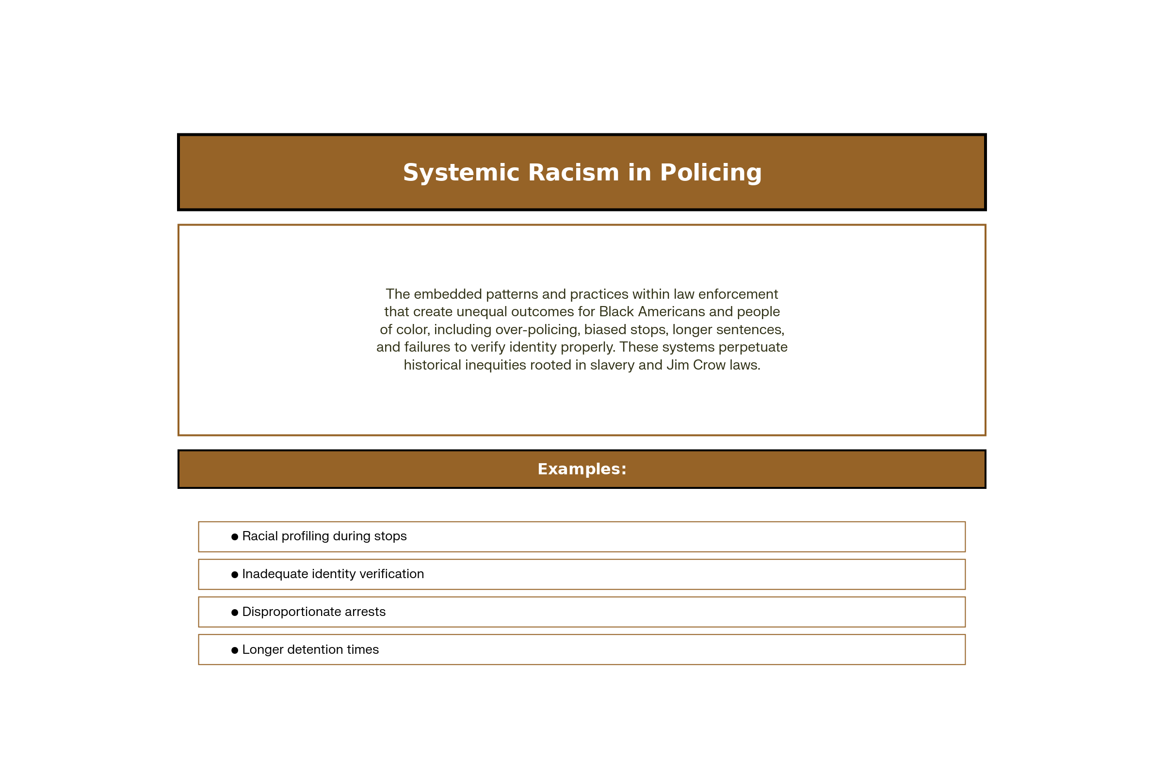 Systemic Racism in Policing: Understanding the Pattern