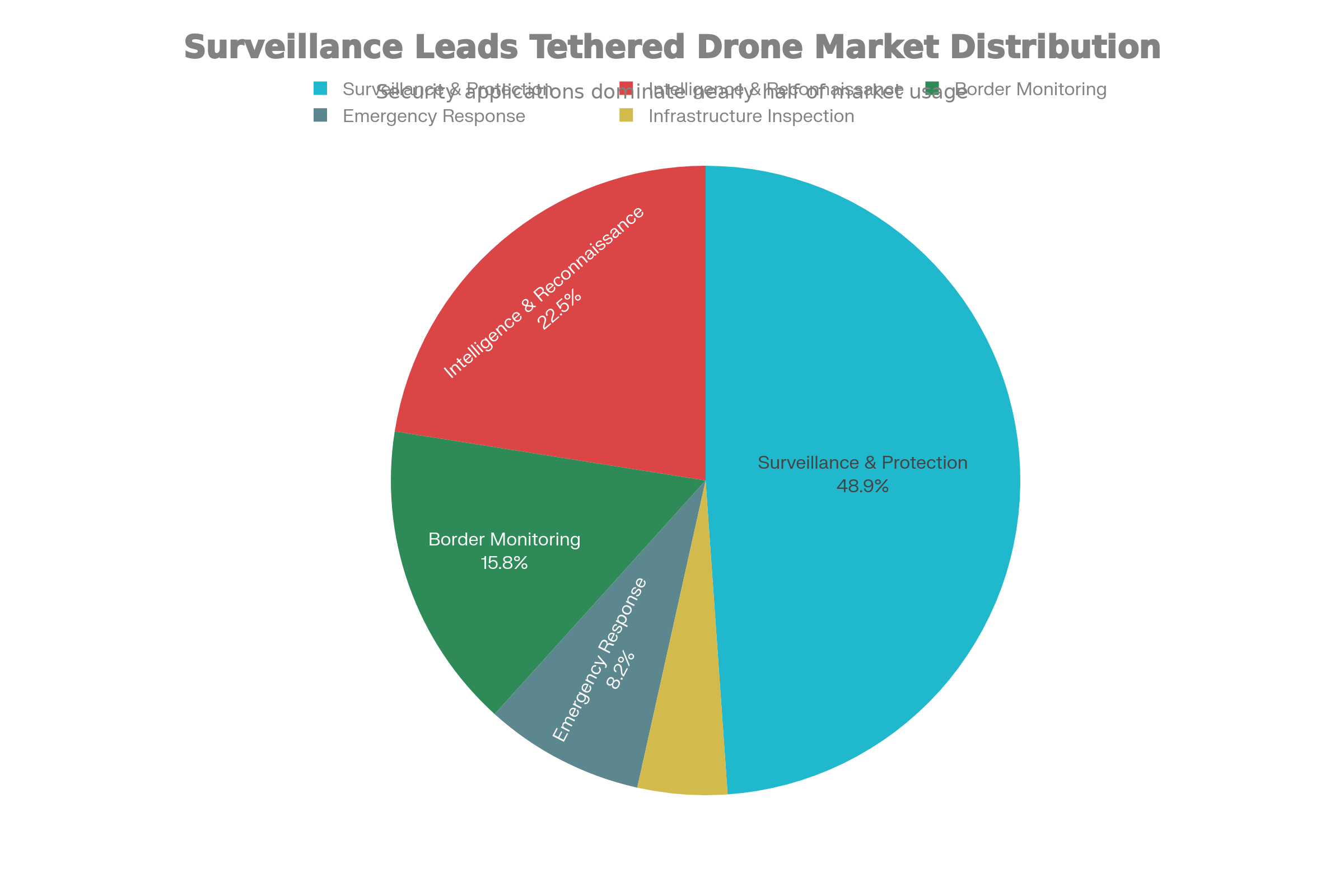 Tethered Drone Market Distribution by Application Domain