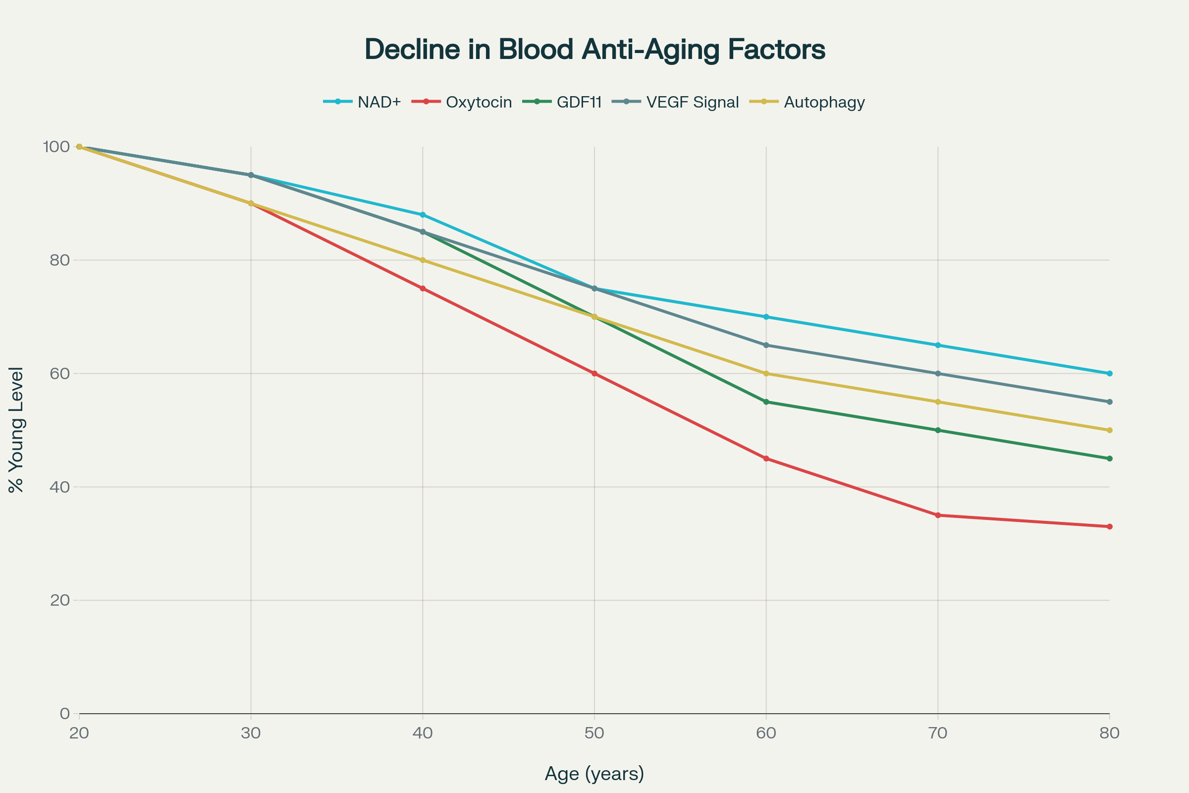 Age-related decline in blood-borne rejuvenating factors that could theoretically explain the benefits of young blood consumption in the Dracula myth