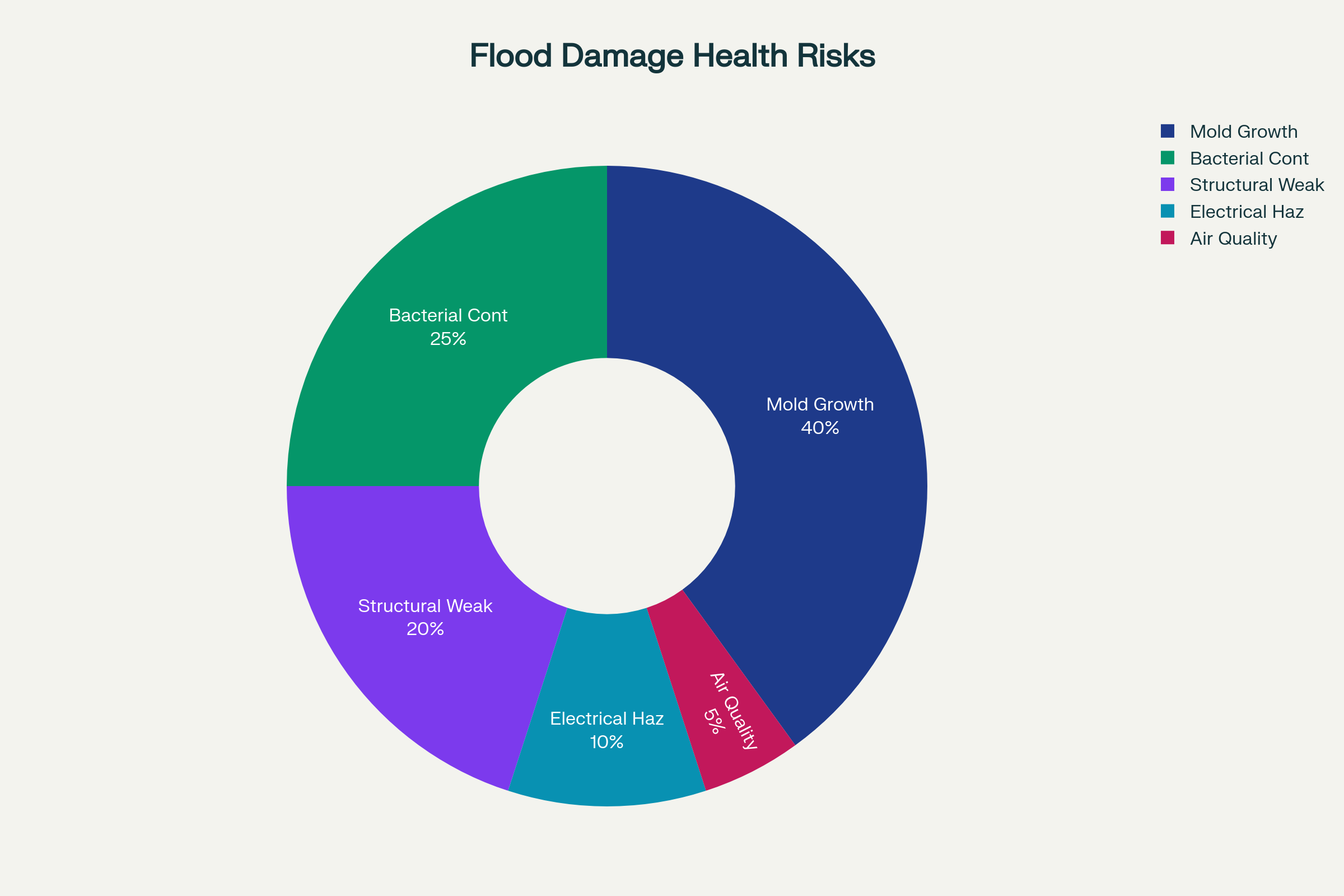 Donut chart showing health risks breakdown