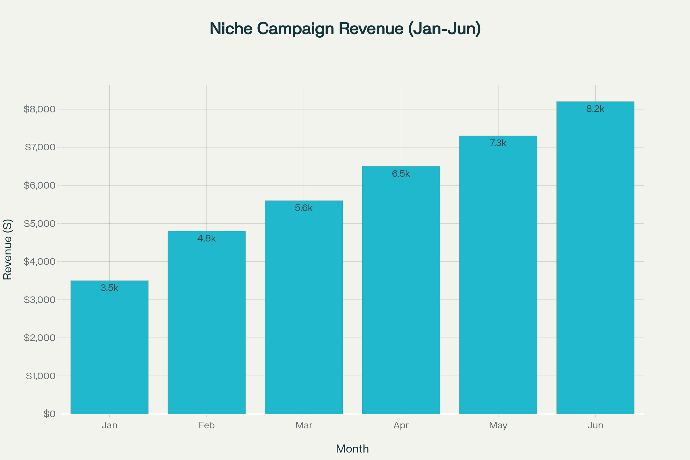 Niche Audience Exposure case study showing targeted segments, engagement, conversions, and revenue Jan-Jun