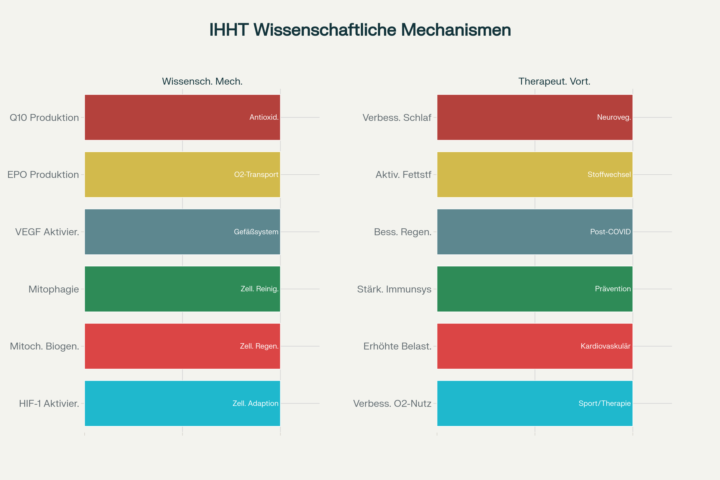 Wissenschaftliche Grundlagen und therapeutische Anwendungen der IHHT-Therapie (Deutsche Version)