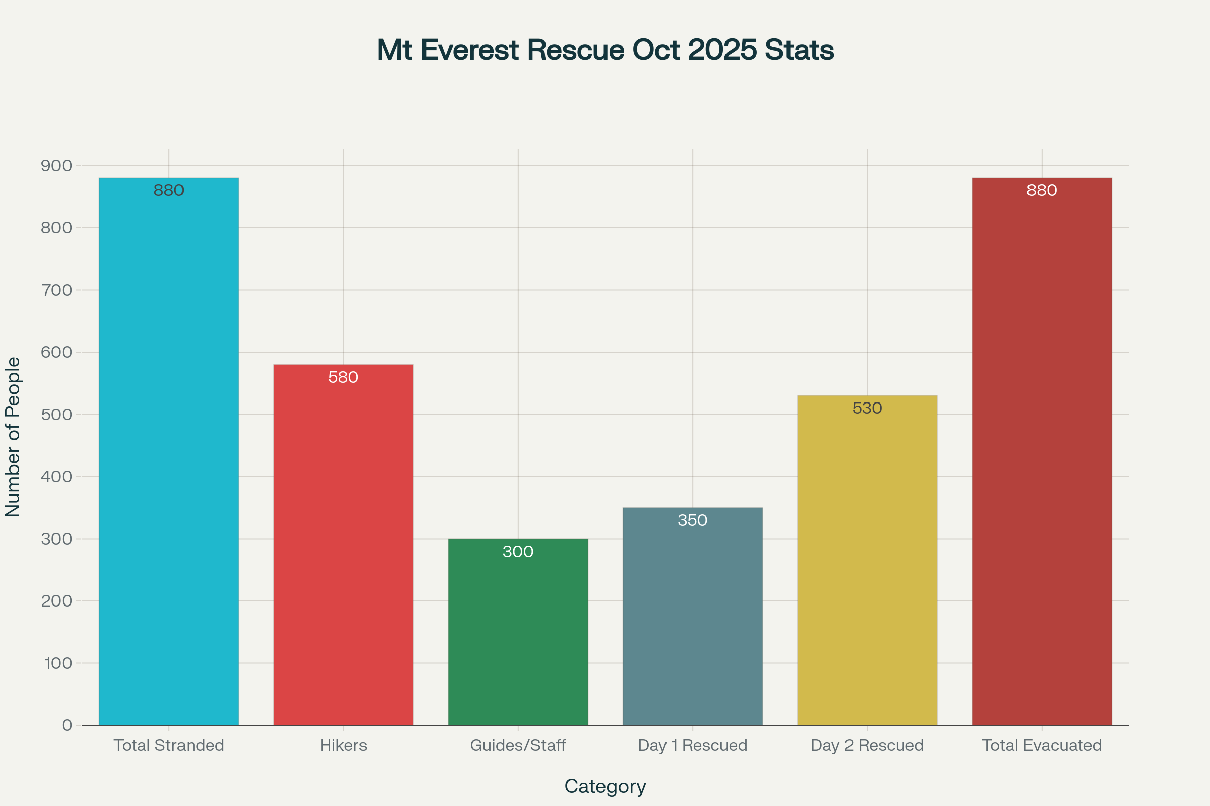 Statistical breakdown of the Mount Everest rescue operation showing personnel categories and evacuation timeline